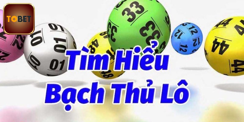 Bạch Thủ Lô Dễ Thắng Với Các Chiến Thuật Đơn Giản Cho Tân Thủ