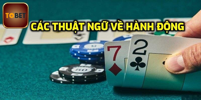 Các hành động cược cơ bản