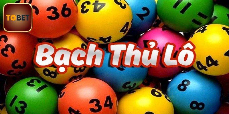 Khái quát sơ lược về bạch thủ lô