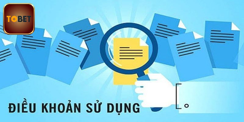Lưu ý khi tham gia điều khoản nhà cái