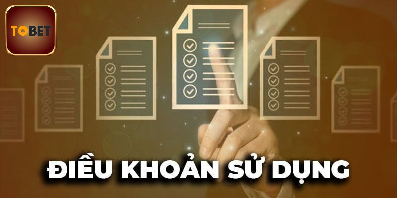 Lý do bạn tuân thủ điều kiện sử dụng