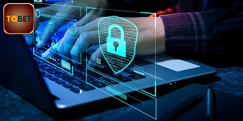 Quy trình cách tạo tài khoản cá độ bóng đá nhanh gọn