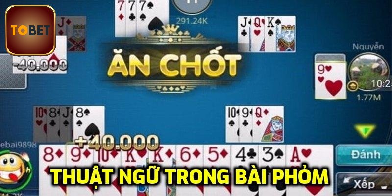 Thuật ngữ trong tá lả