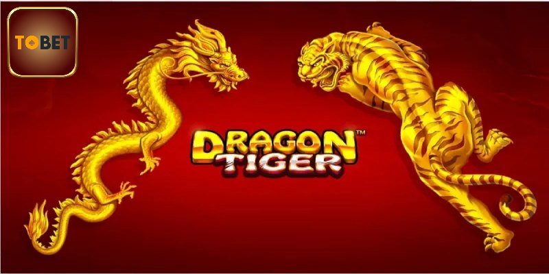 Giới thiệu sơ lược về rồng hổ