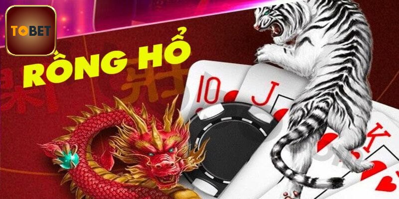 Thuật ngữ trong rồng hổ